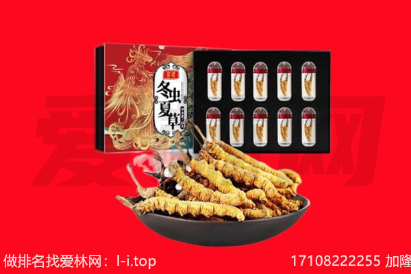 杏花岭区回收虫草.jpg